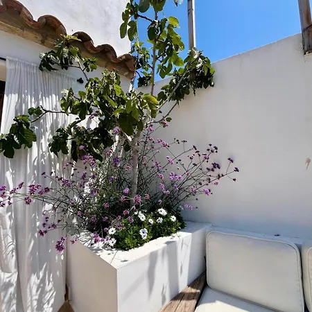 Huge Whole House Old Town Nyaraló Sitges